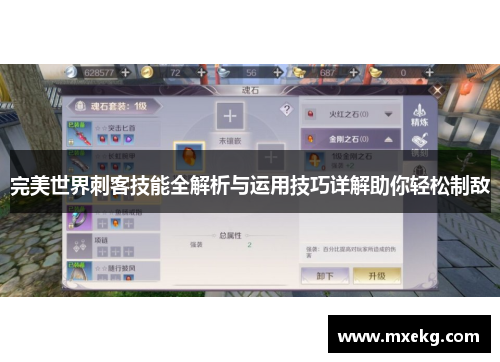 完美世界刺客技能全解析与运用技巧详解助你轻松制敌